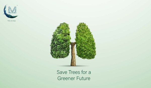 Save Trees For Greener and Brighter Future