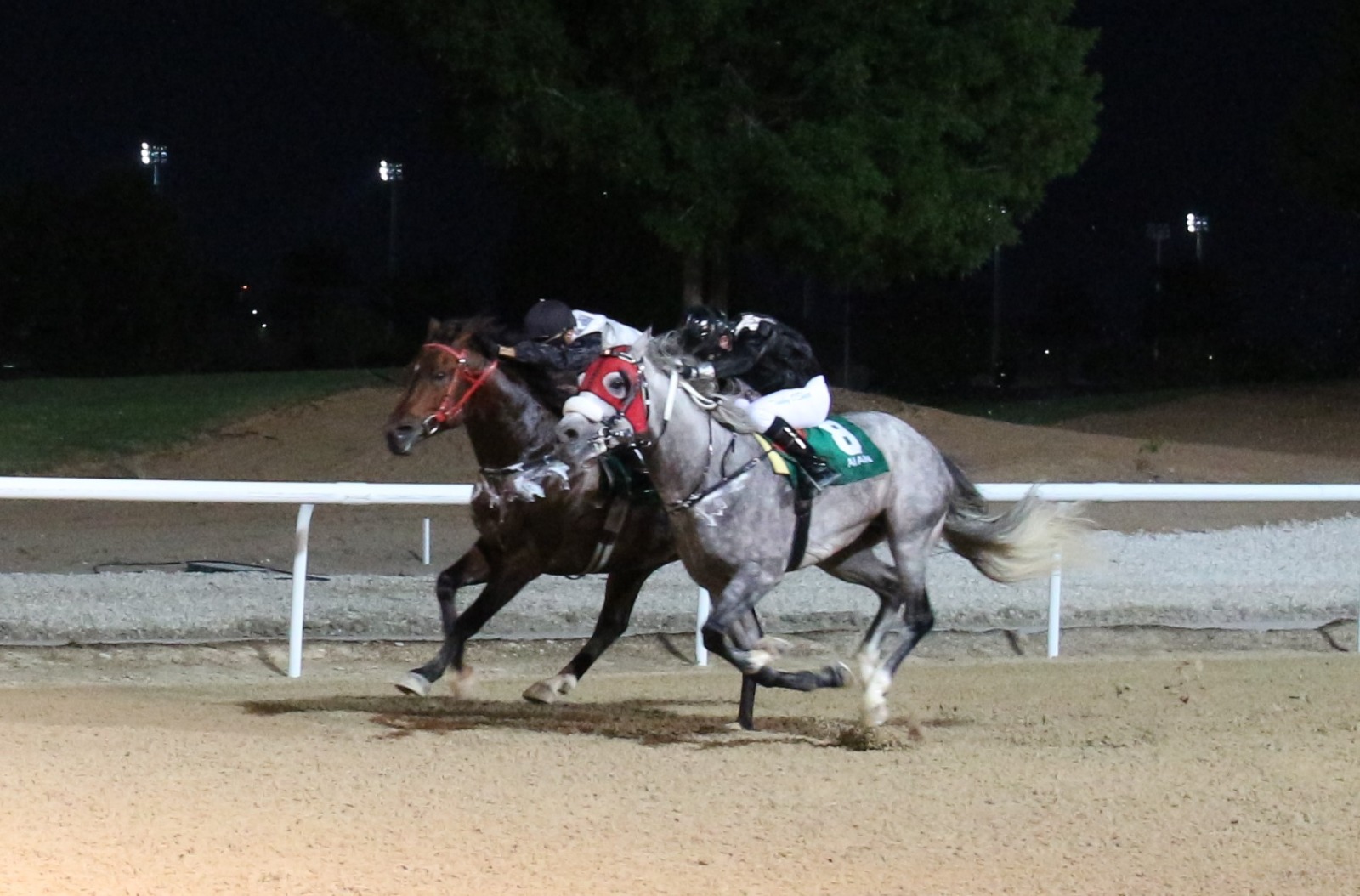 Al Masaood Automobiles Supports H.H. Sheikh Mansoor Bin Zayed Al Nahyan Racing Festival 2024