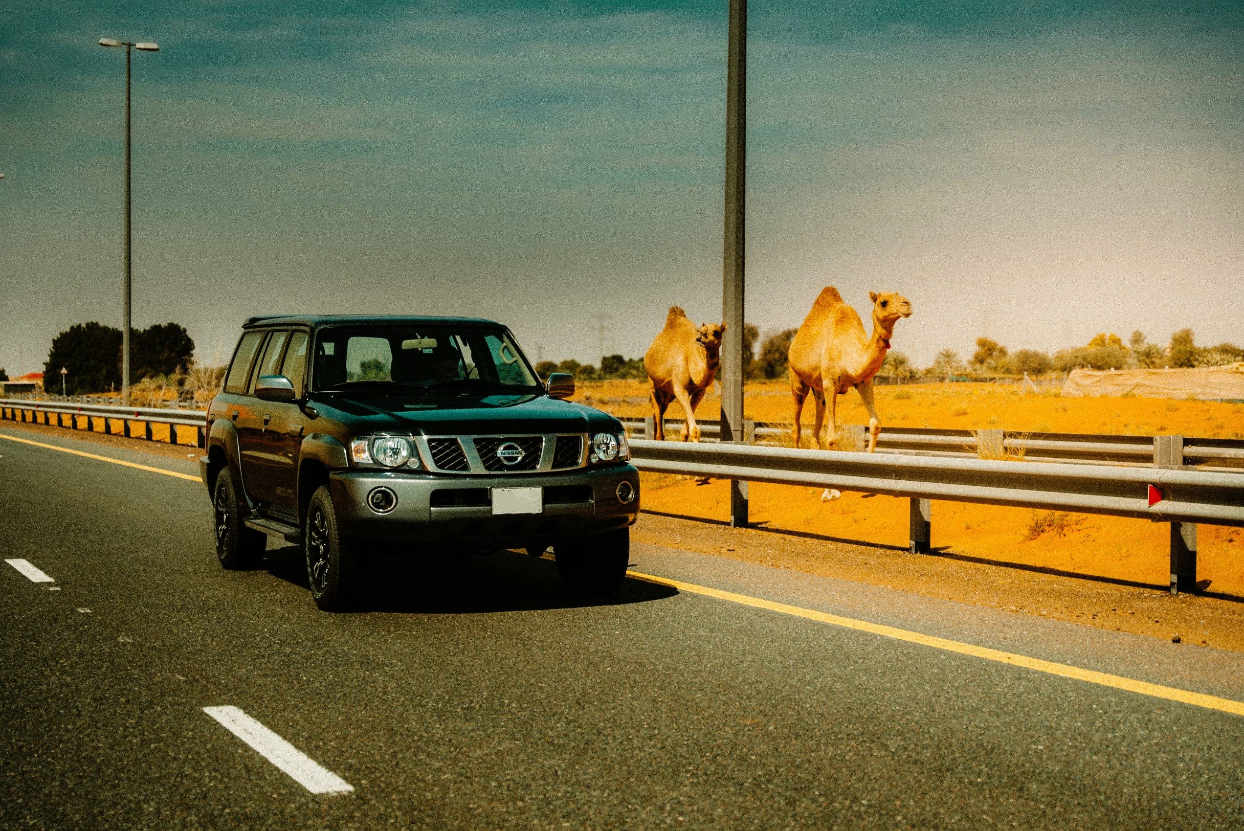 nissan patrol super safari history